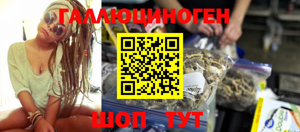 Меф Сосновоборск